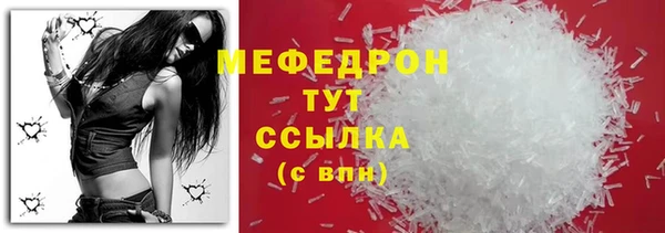 МДПВ Бородино