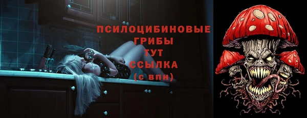 МДМА Богданович