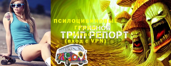 МДПВ Бородино