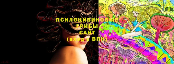 МДПВ Бородино