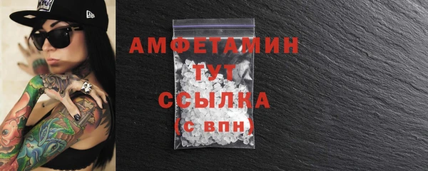 МДПВ Бородино