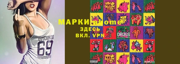 МДПВ Бородино