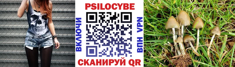 купить закладку  Мегион  Псилоцибиновые грибы Psilocybine cubensis 